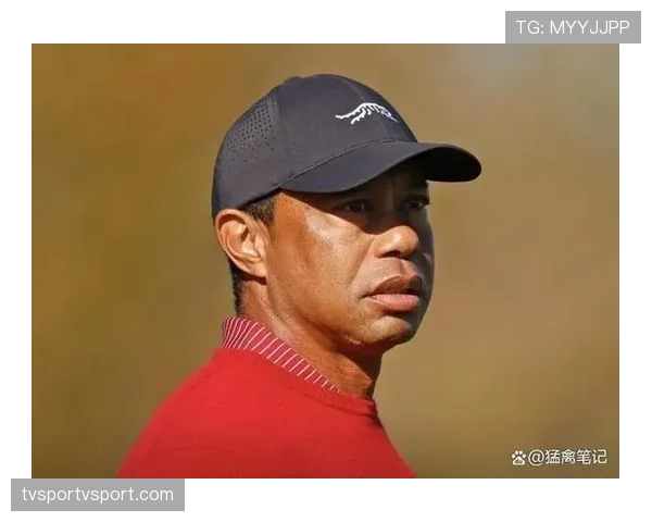 泰格·伍兹车库里的车比你家小区停车位还多